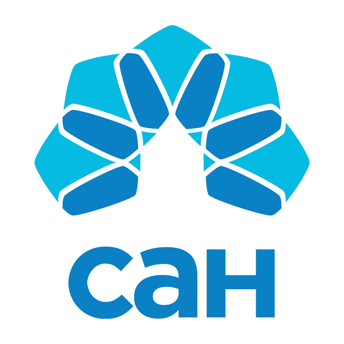 Les Centres D Accueil Heritage Fournir Aux Aines Et Leurs Aidants Des Services Et Des Programmes En Francais Qui Favorisent Leur Qualite De Vie Soutiennent Leur Independance Et Les Encouragent A Participer Les Centres D Accueil Heritage Fournir Aux Aines Et Leurs Aidants Des Services Et Des Programmes En Francais Qui Favorisent Leur Qualite De Vie Soutiennent Leur Independance Et Les Encouragent A Participer